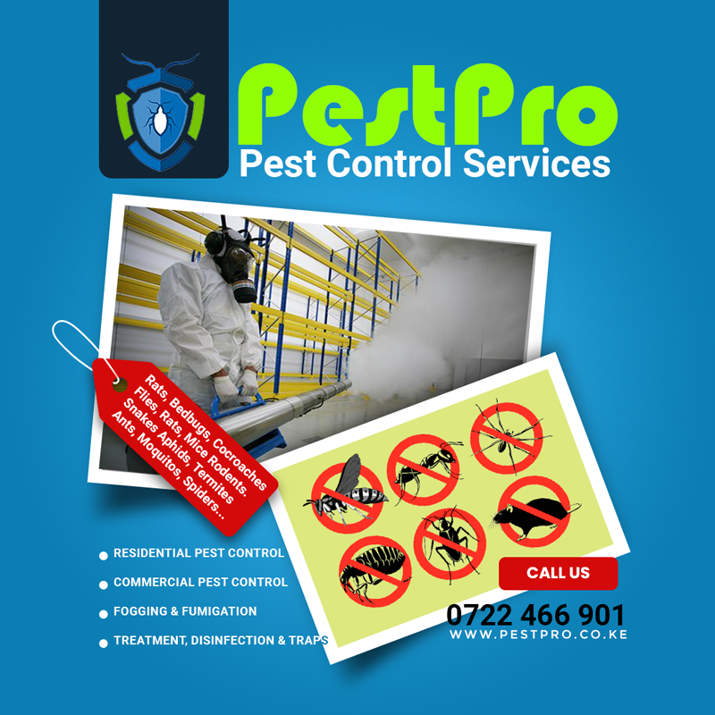 What are the prices and costs of Pest control in Nairobi ?