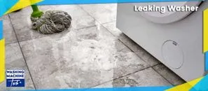 Washing Machine Fault Diagnosis Service in Parklands